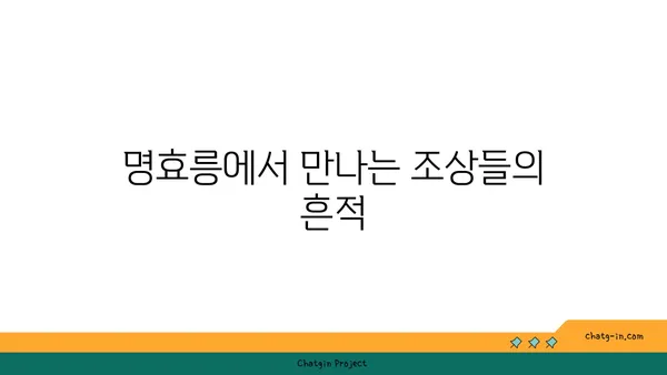 난징의 역사적 명소: 명효릉과 명나라의 유산