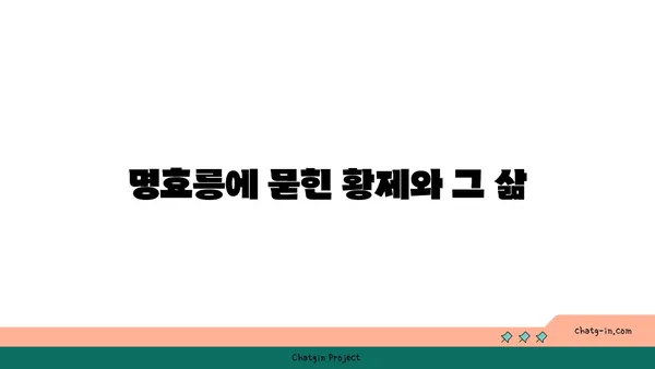 명효릉, 중국의 역사적인 무덤