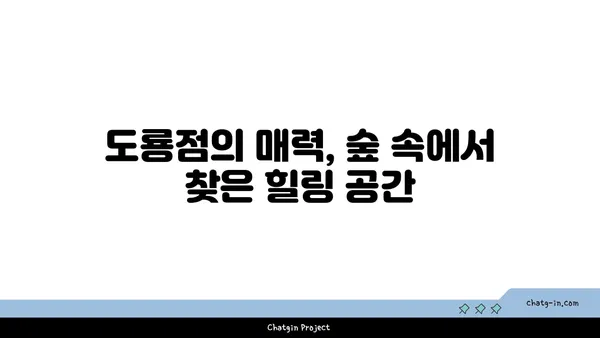 포레스트 오늘 숲 도룡점, 대전 엑스포 숲 맛집