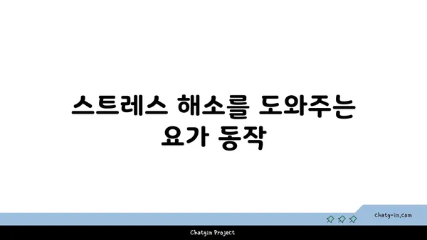 40대 중년 남성을 위한 건강 유지 요가 동작