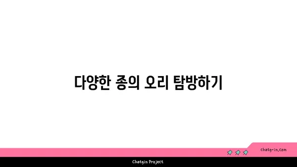 성남 오리궁