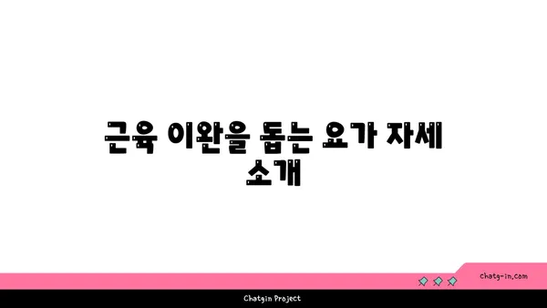 40대 중년을 위한 피로 해소 요가
