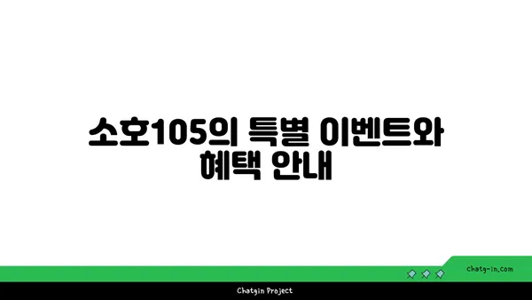 도룡동 소호105: 점심 식사와 저녁 안주 모두 가능한 곳