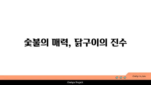 숯불닭구이 모듬 한판! 대전 엑스포 근처 맛집 소개