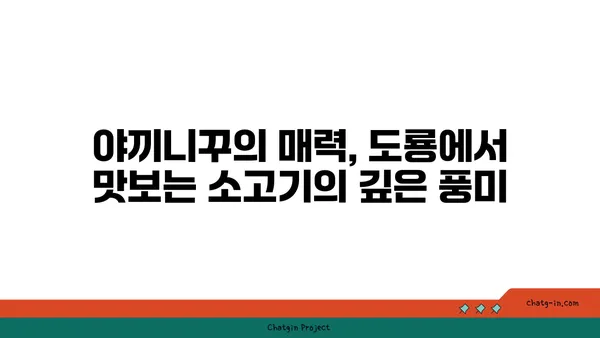 야끼니꾸 도룡 감성 소고기 맛집