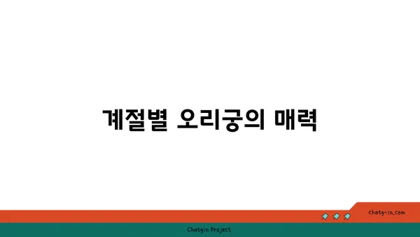 성남 오리궁