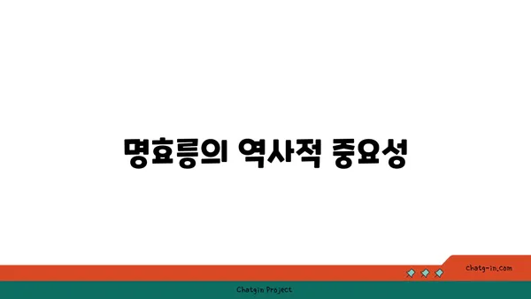 난징의 역사적 명소: 명효릉과 명나라의 유산