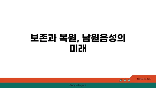 고도요관 속의 역사적 보석: 남원읍성