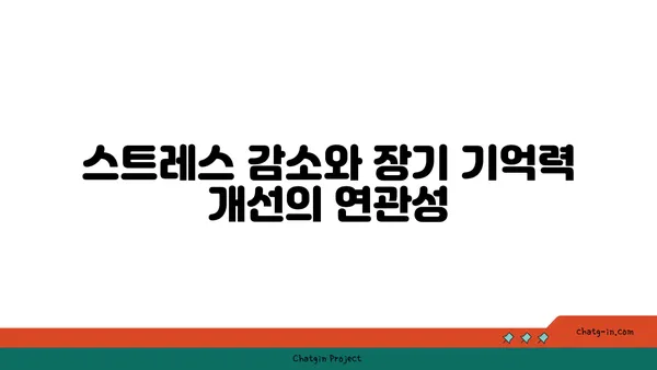 요가 수련이 뇌 활성화에 미치는 긍정적 영향