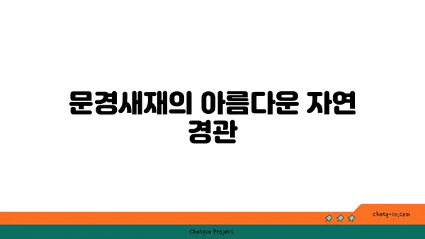 우리나라에서 가장 사랑받는 역사적 관광지: 문경새재