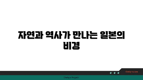 일본의 숨겨진 보물, 코로나 이후 유명해진 역사적 관광지