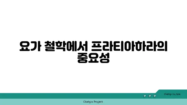 프라티아하라 개념과 요가의 철학적 연결점
