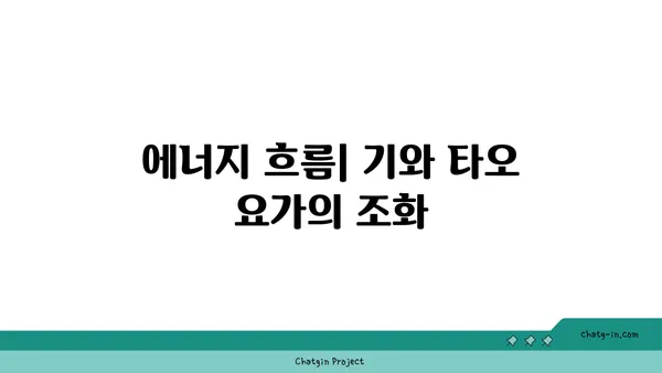 타오 요가와 중국 전통 수련의 조화
