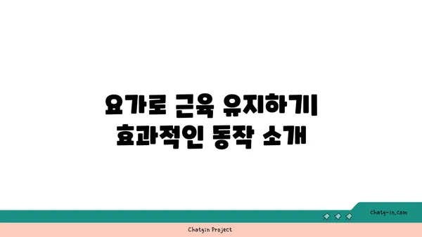 30대 남성의 근육 유지를 위한 요가