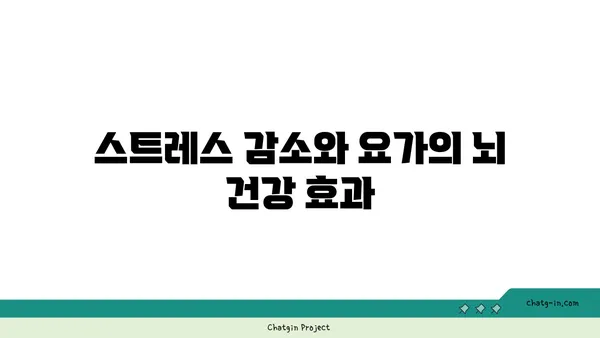 요가와 뇌 건강의 상관관계