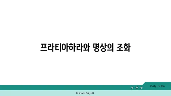 프라티아하라 개념과 요가의 철학적 연결점