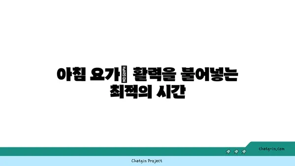 요가 수련에 가장 효과적인 시간대 선택하기