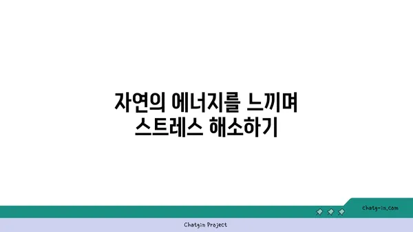자연 속에서 진행하는 야외 요가의 장점