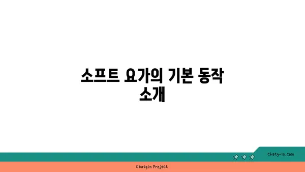 소프트 요가로 시작하는 초보자를 위한 가이드