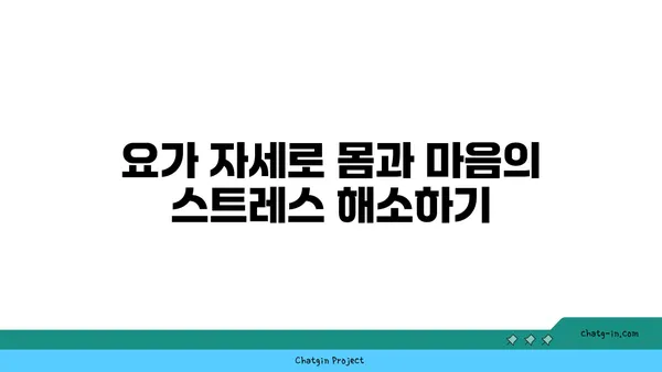 20대 운동 부족 해소를 위한 요가 추천