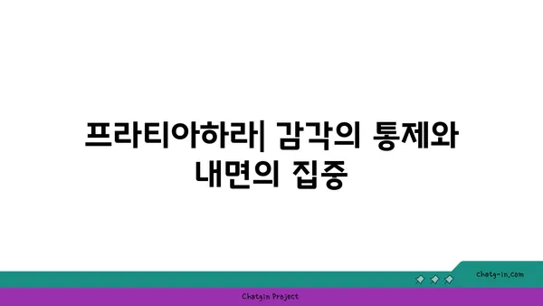 프라티아하라 개념과 요가의 철학적 연결점