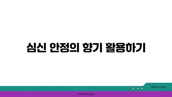 최적의 요가 수련 환경 조성법