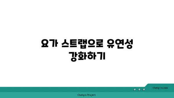 요가 장비와 도구 선택 가이드