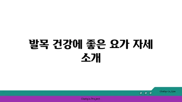 발목 건강을 위한 요가 명상법 가이드