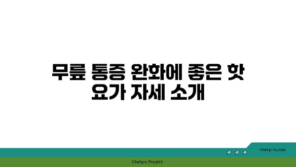 무릎 통증 예방을 위한 핫 요가 스트레칭