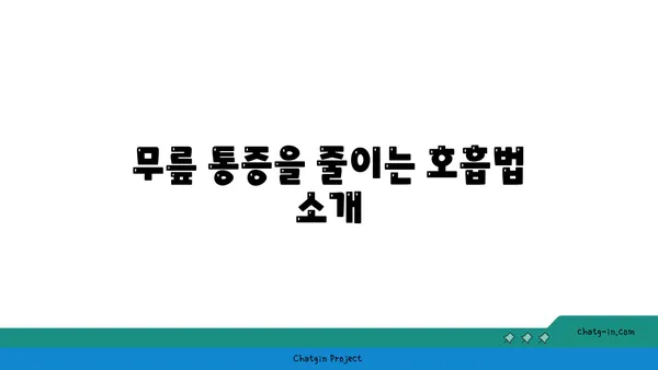 무릎 통증 예방 요가 스트레칭