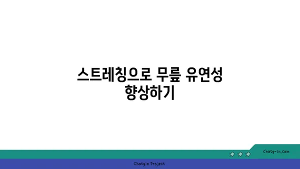 무릎 보호를 위한 빈야사 요가 스트레칭