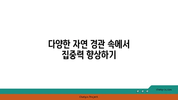 자연 속에서 진행하는 야외 요가의 장점