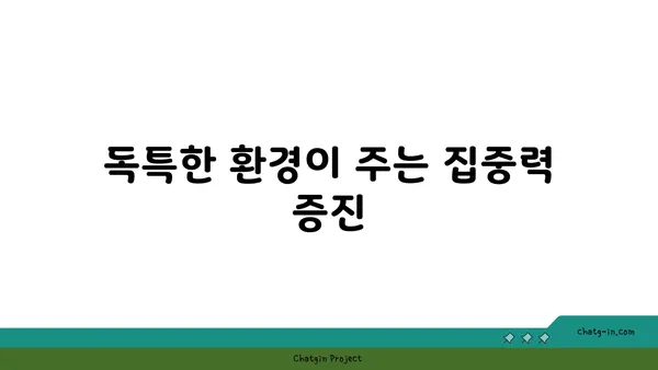 핫 요가와 그 독특한 환경의 장점