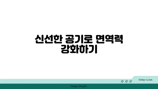 자연 속에서 진행하는 야외 요가의 장점