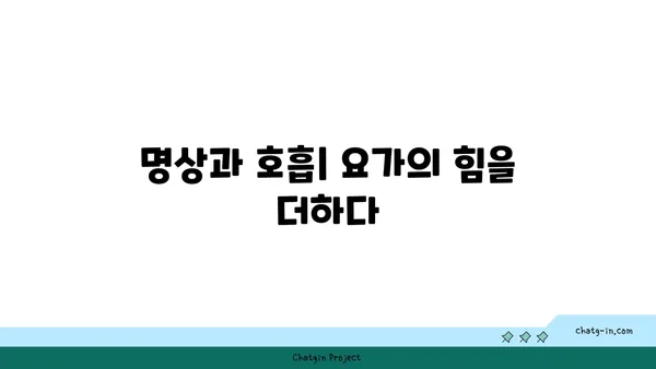 요가와 명상의 통합