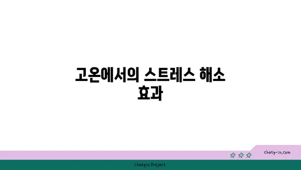 핫 요가와 그 독특한 환경의 장점