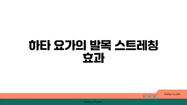 발목 근육 긴장을 풀어주는 하타 요가 루틴