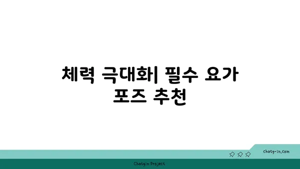 20대 체력 증진을 위한 파워 요가 루틴