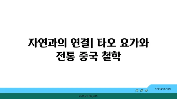 타오 요가와 중국 전통 수련의 조화