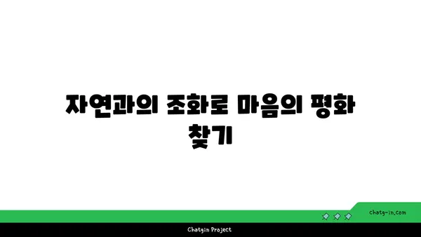 자연 속에서 진행하는 야외 요가의 장점
