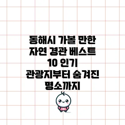 동해시 가볼 만한 자연 경관 베스트 10: 인기 관광지부터 숨겨진 명소까지