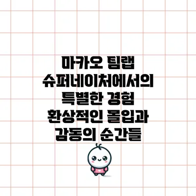 마카오 팀랩 슈퍼네이처에서의 특별한 경험: 환상적인 몰입과 감동의 순간들