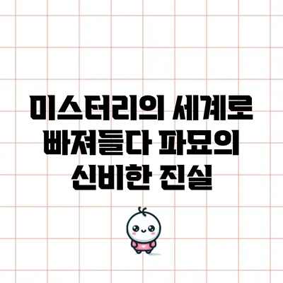 미스터리의 세계로 빠져들다: 파묘의 신비한 진실