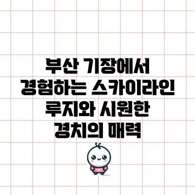 부산 기장에서 경험하는 스카이라인 루지와 시원한 경치의 매력