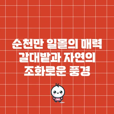 순천만 일몰의 매력: 갈대밭과 자연의 조화로운 풍경