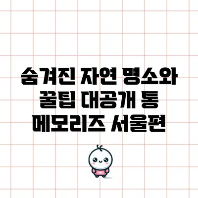 숨겨진 자연 명소와 꿀팁 대공개: 통 메모리즈 서울편