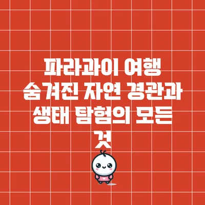 파라과이 여행: 숨겨진 자연 경관과 생태 탐험의 모든 것