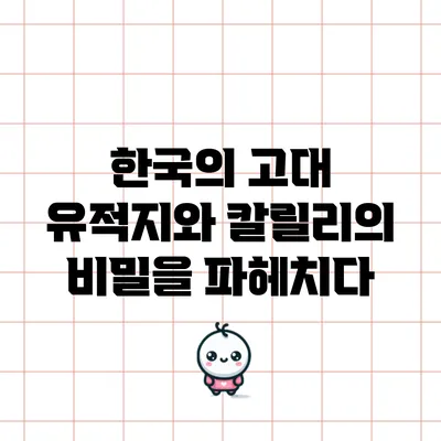 한국의 고대 유적지와 칼릴리의 비밀을 파헤치다