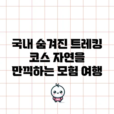 국내 숨겨진 트레킹 코스: 자연을 만끽하는 모험 여행