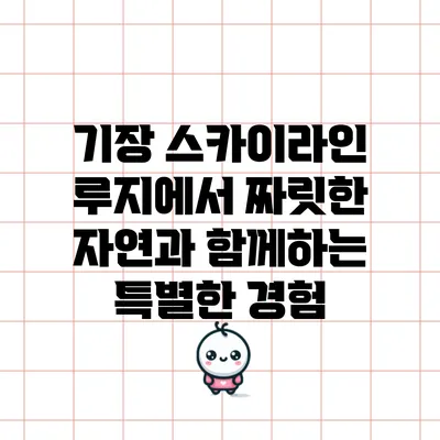 기장 스카이라인 루지에서 짜릿한 자연과 함께하는 특별한 경험